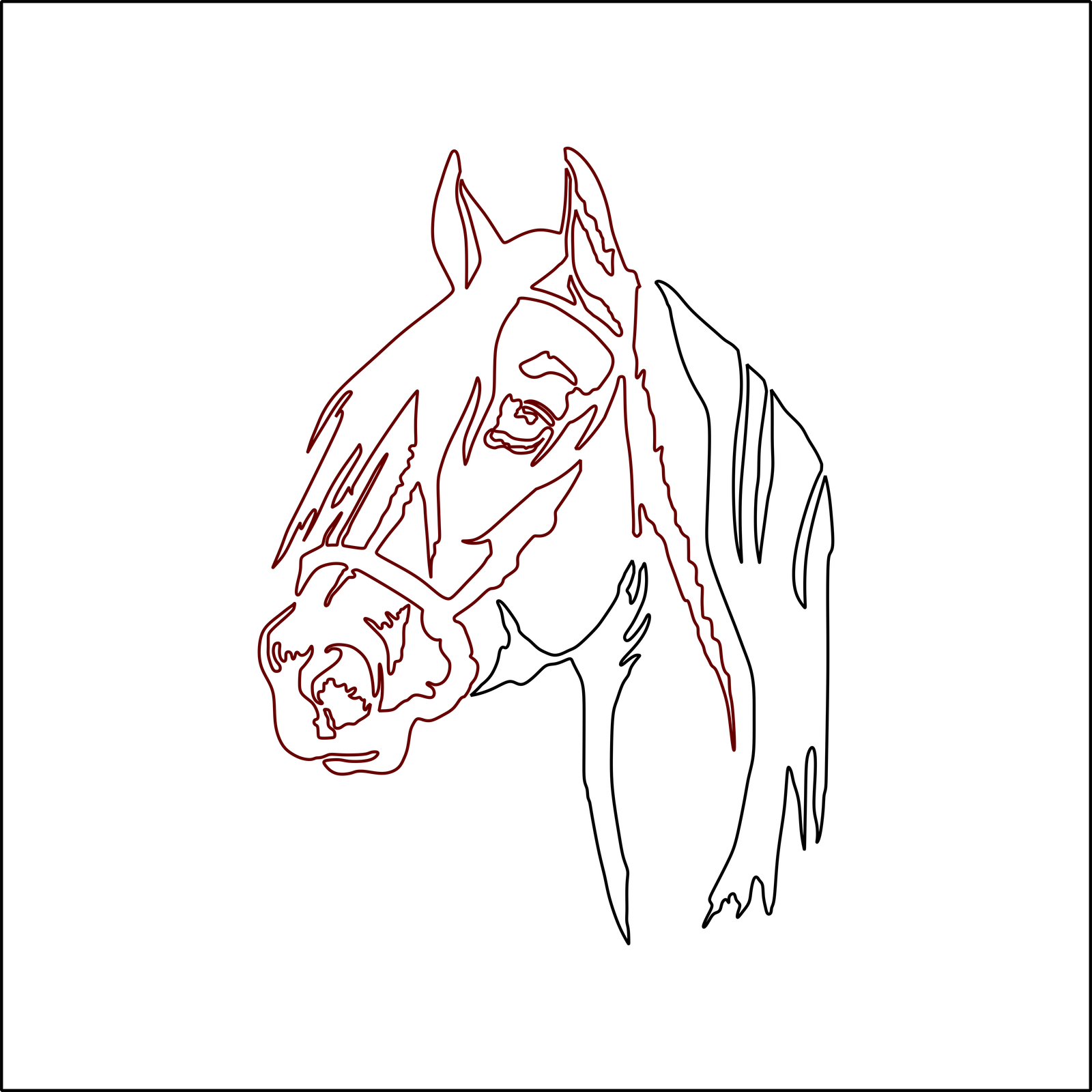 caballo de perfil 2