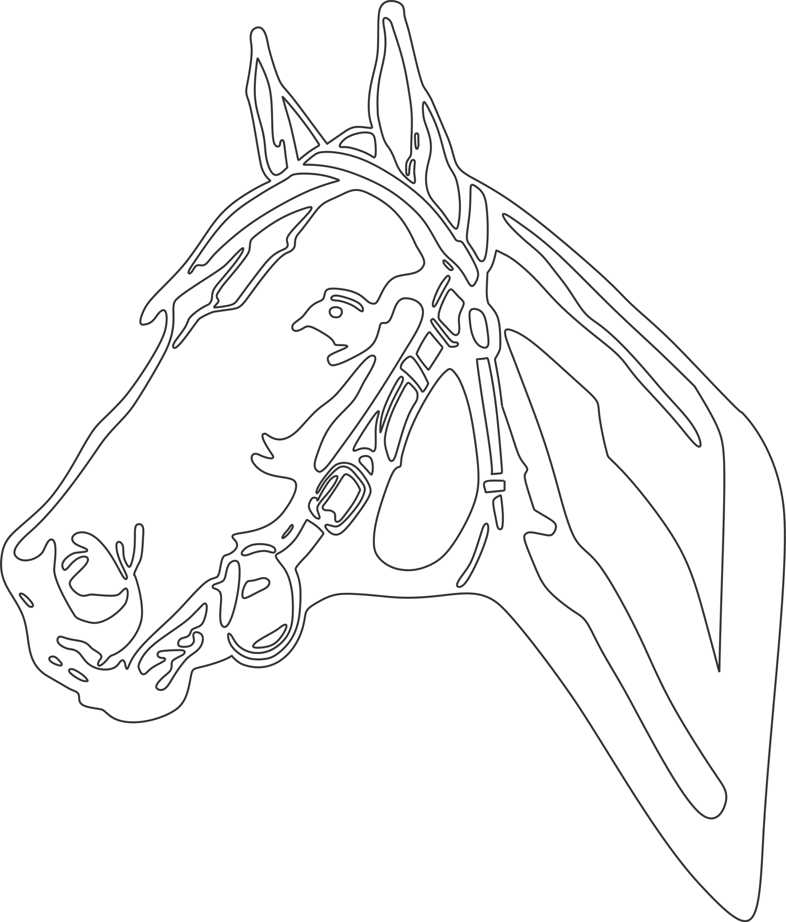 caballo de perfil