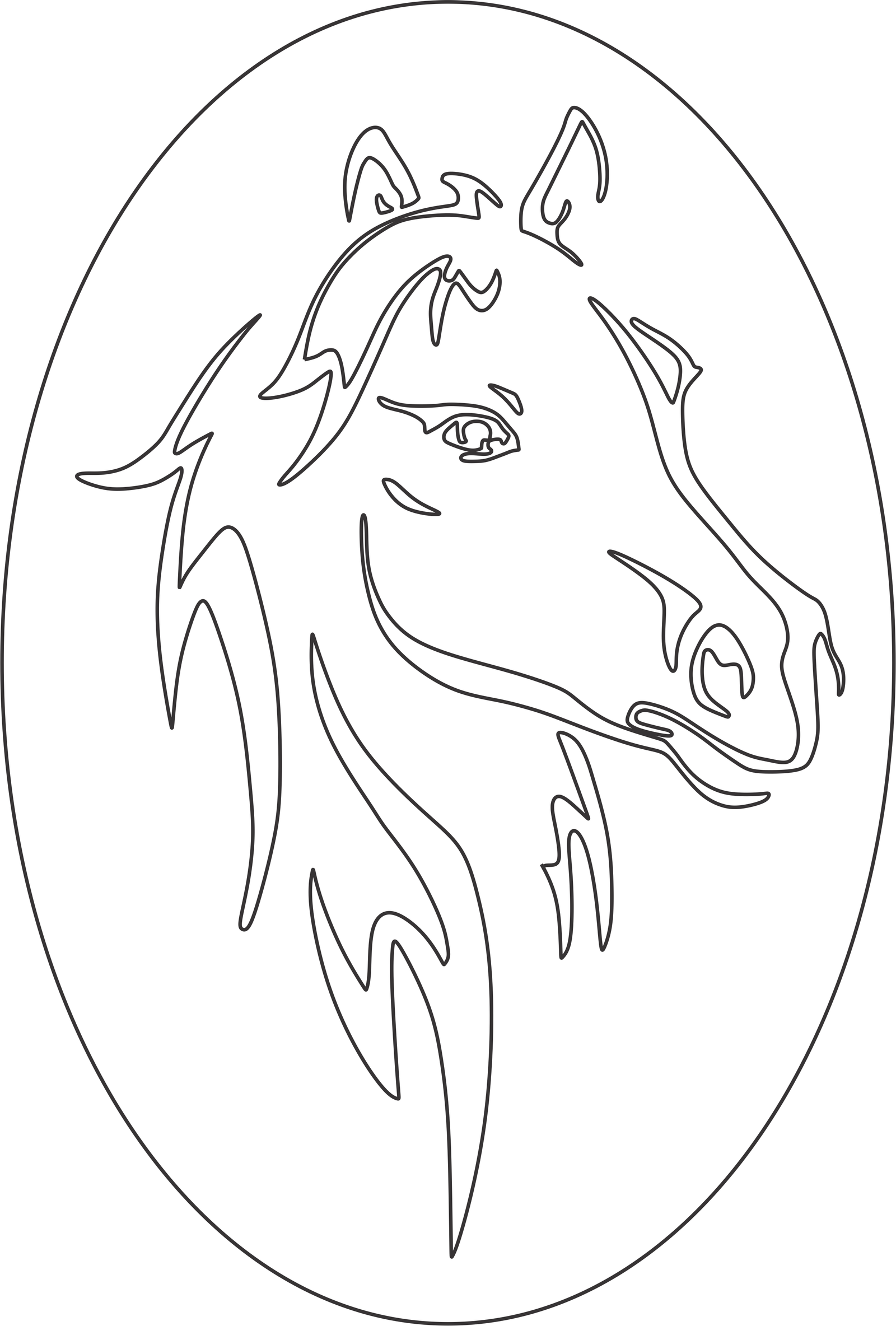 caballo ovalado