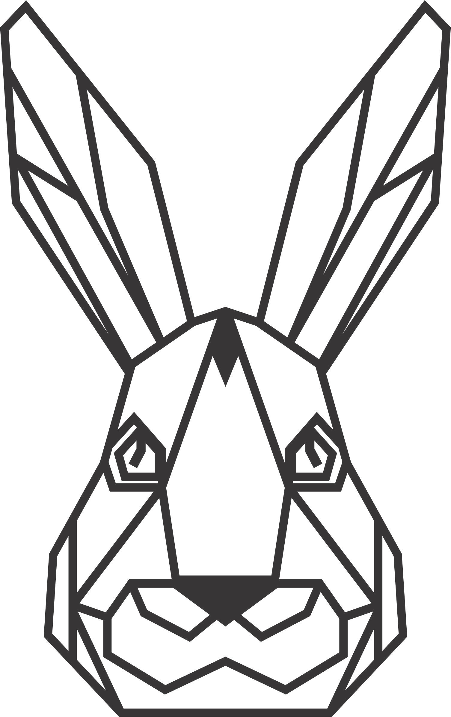 cabeza de conejo