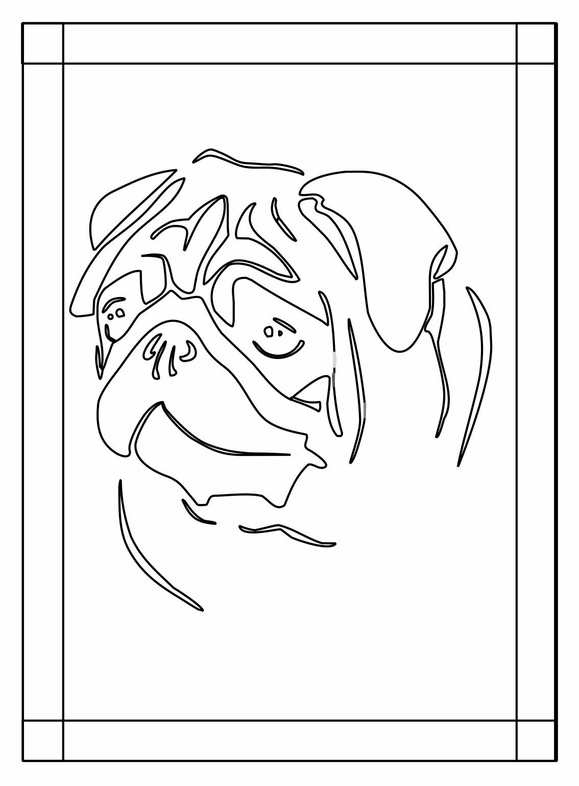 cara de perro puig