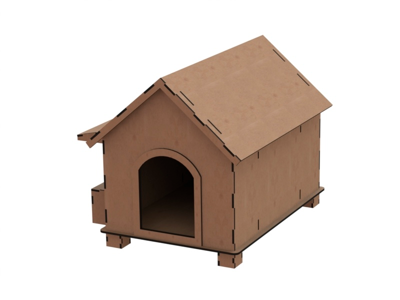 casa perro cachorro