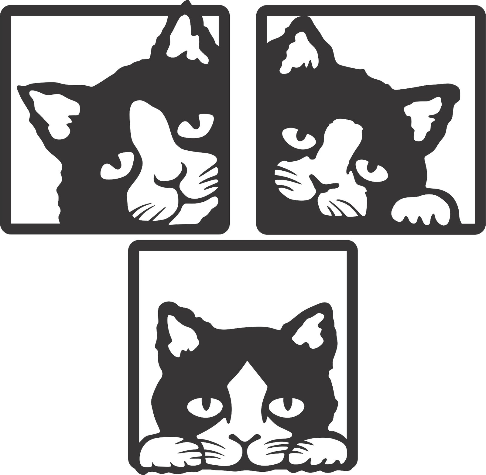 cuadros gato