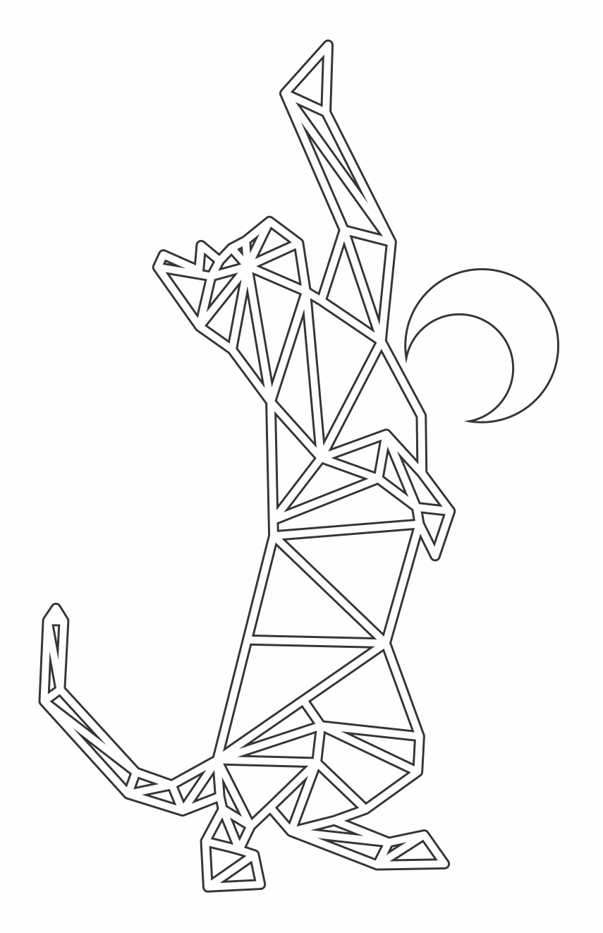 gato con luna