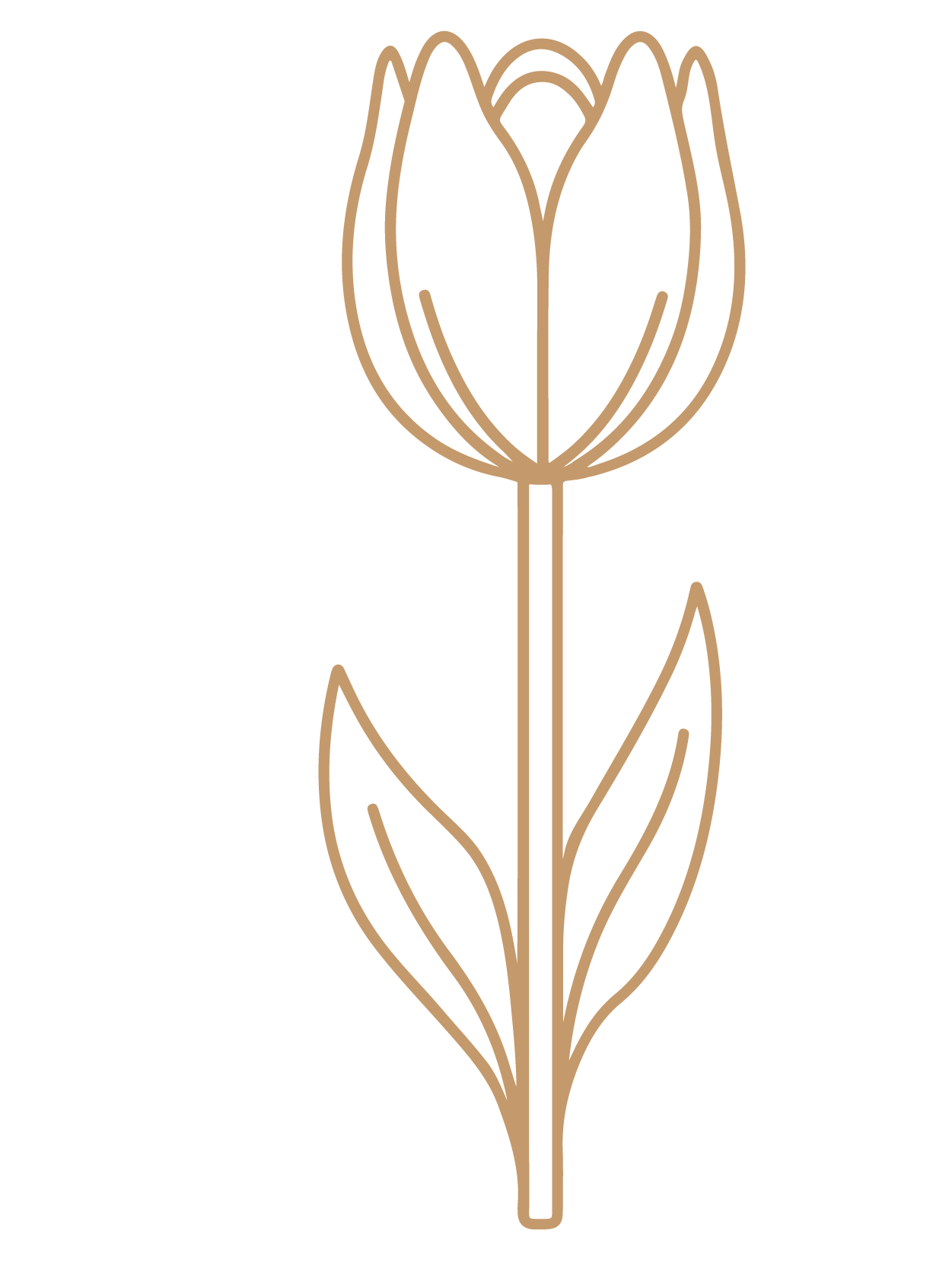 flor 10