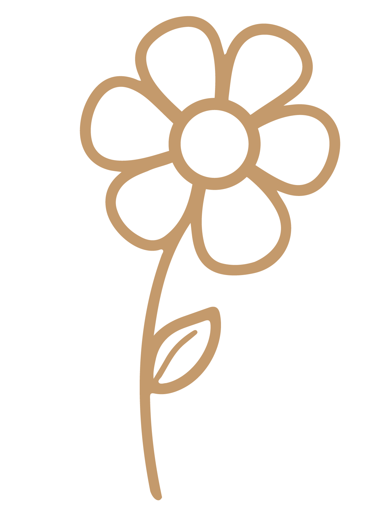 flor 11