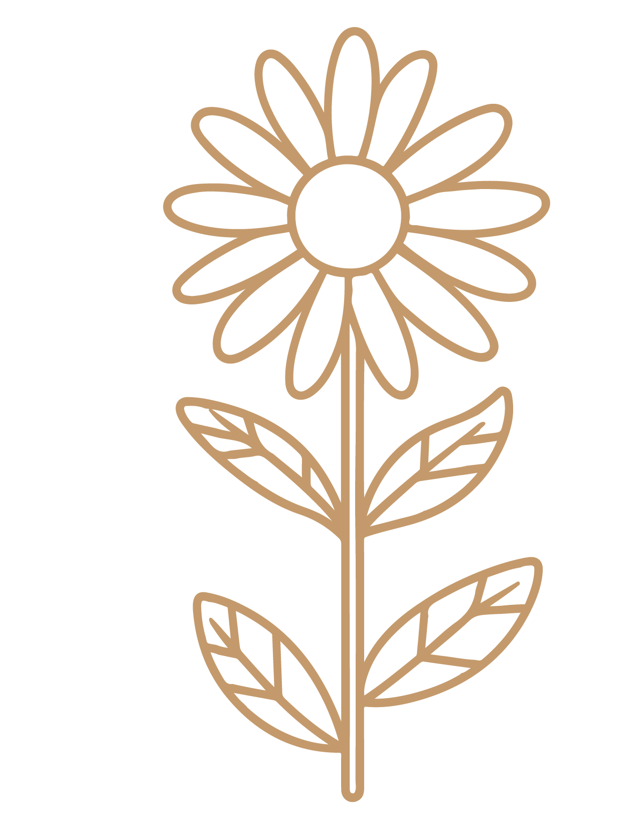 flor 12