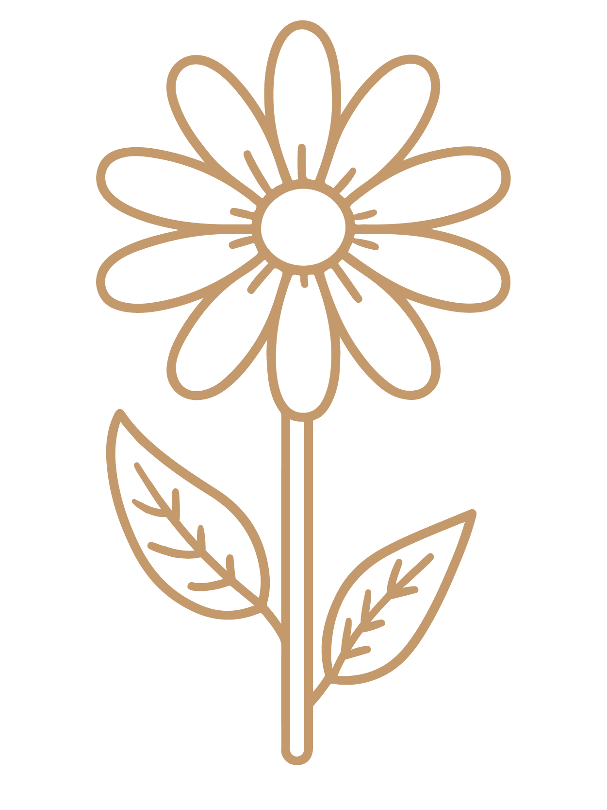 flor 13