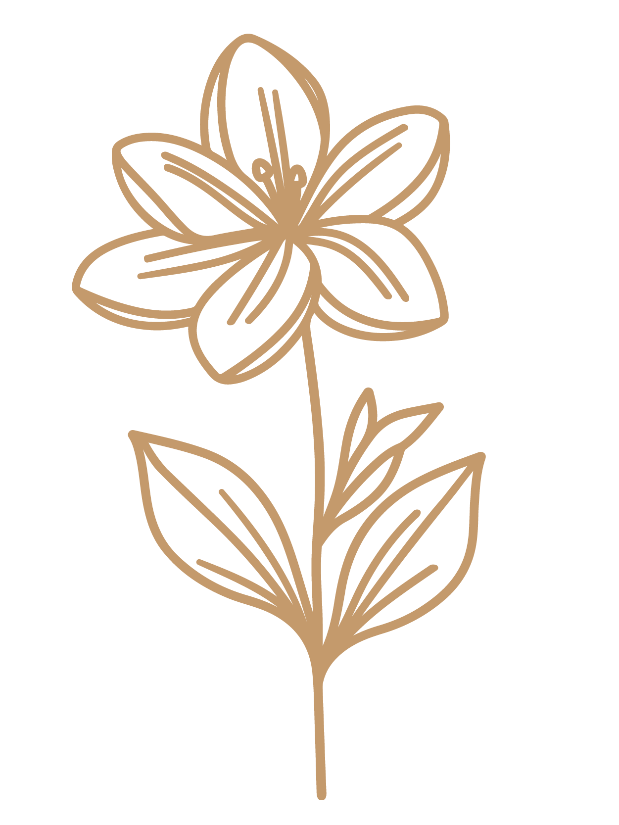 flor 19