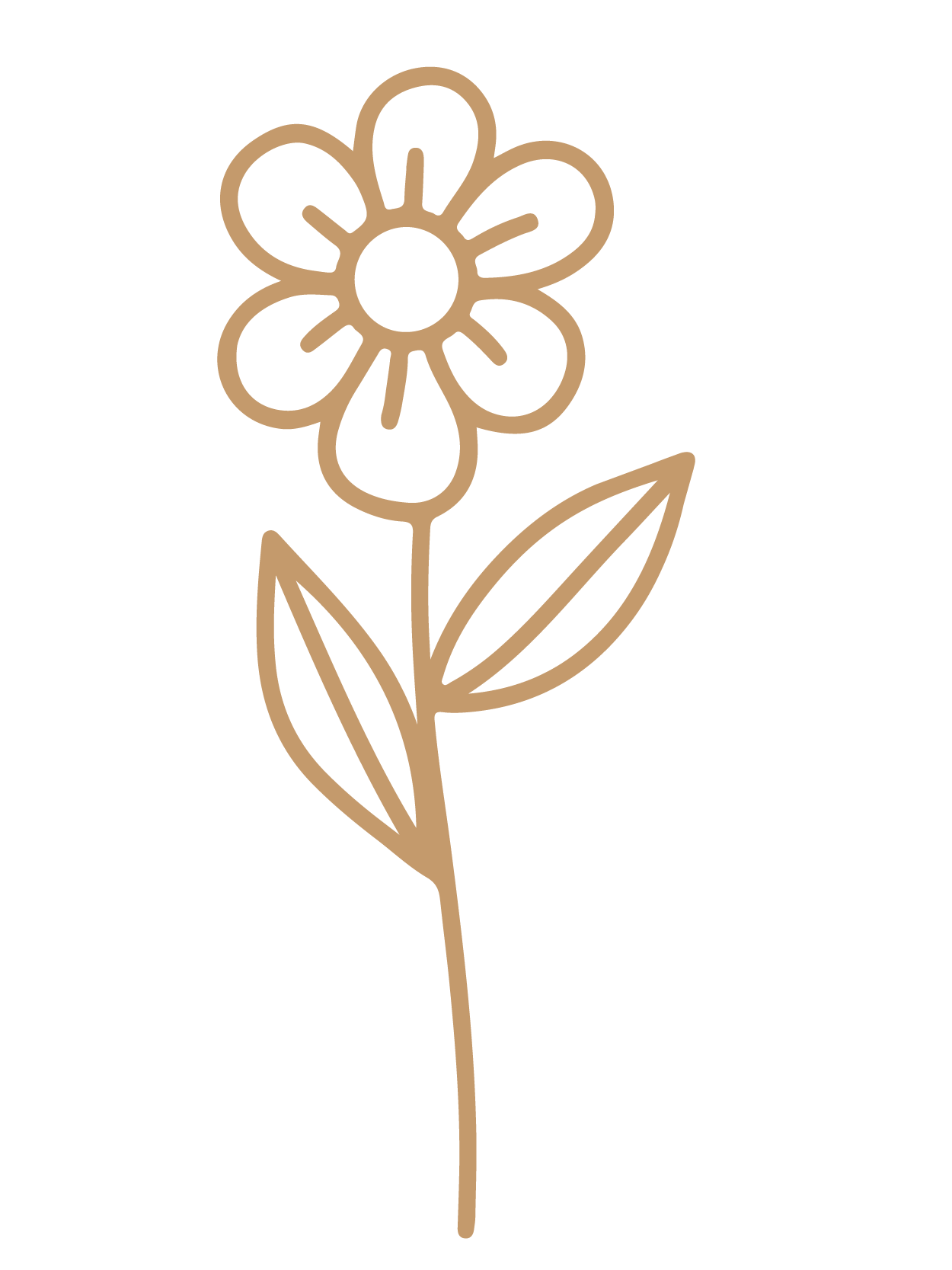 flor 20