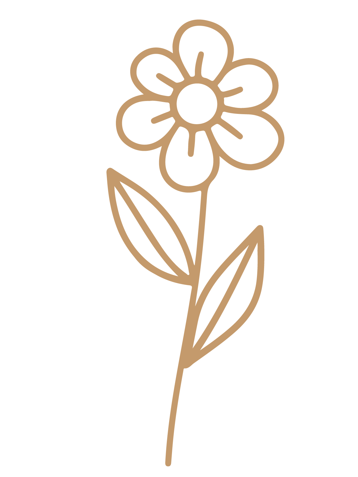 flor 21