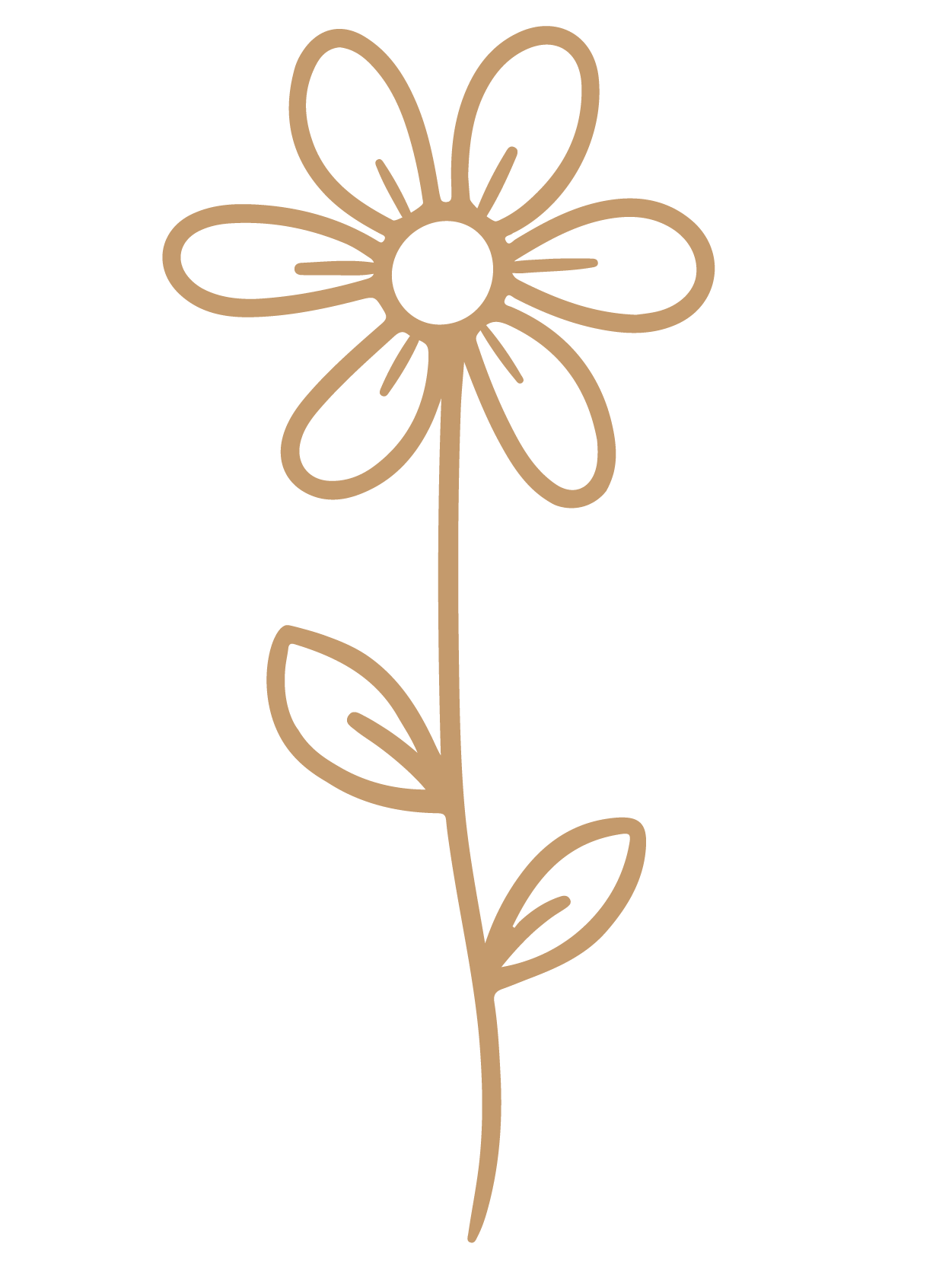 flor 22