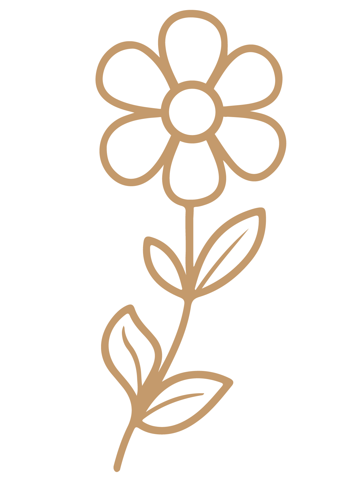 flor 23