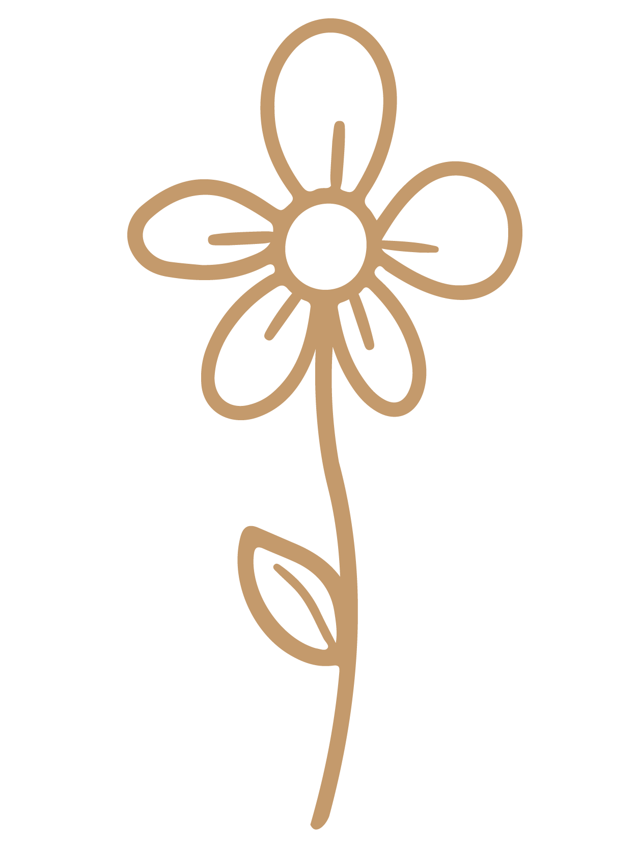 flor 24