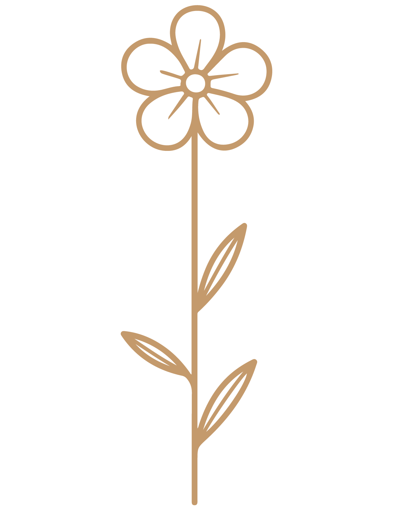 flor 25