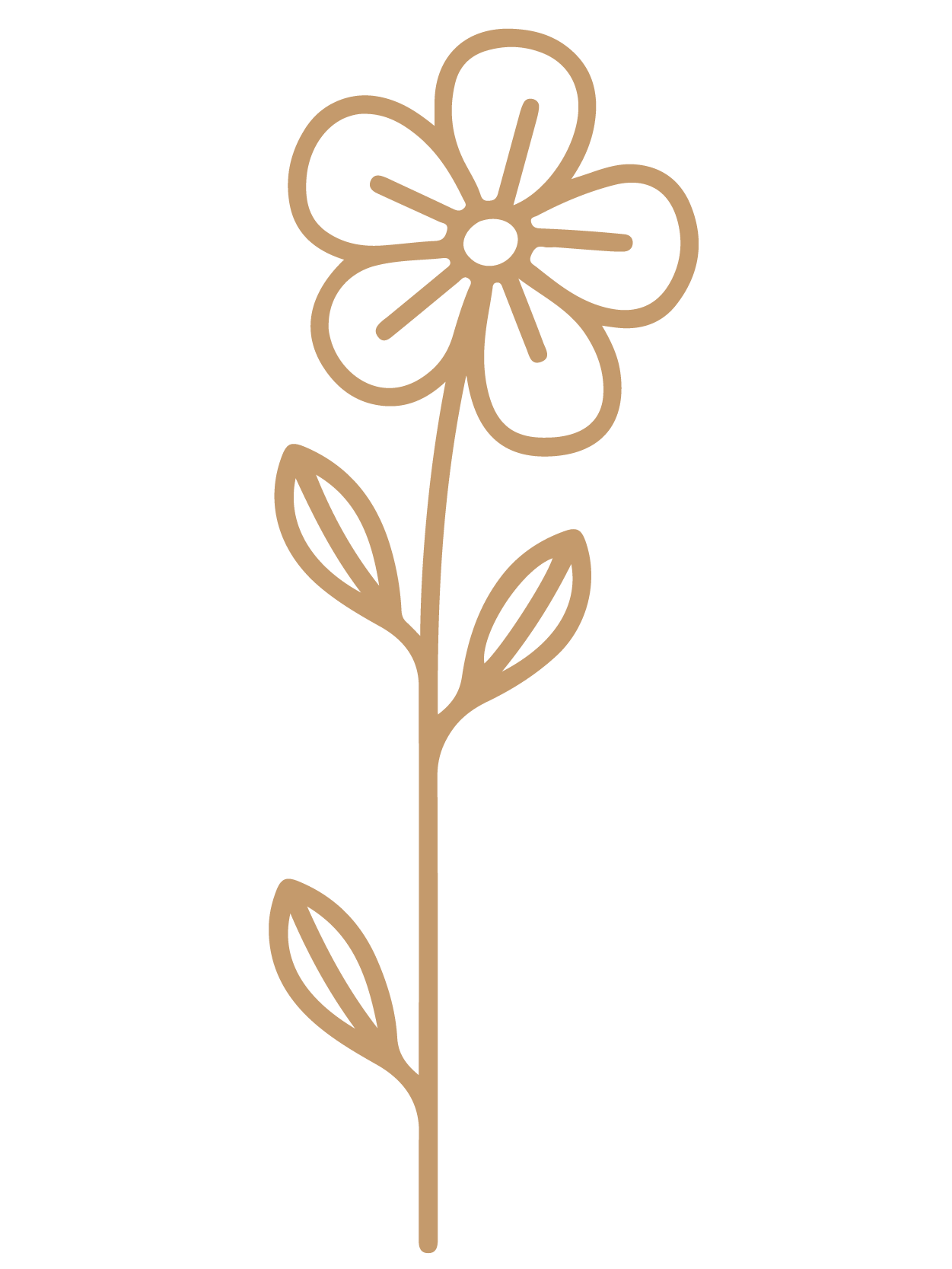 flor 26