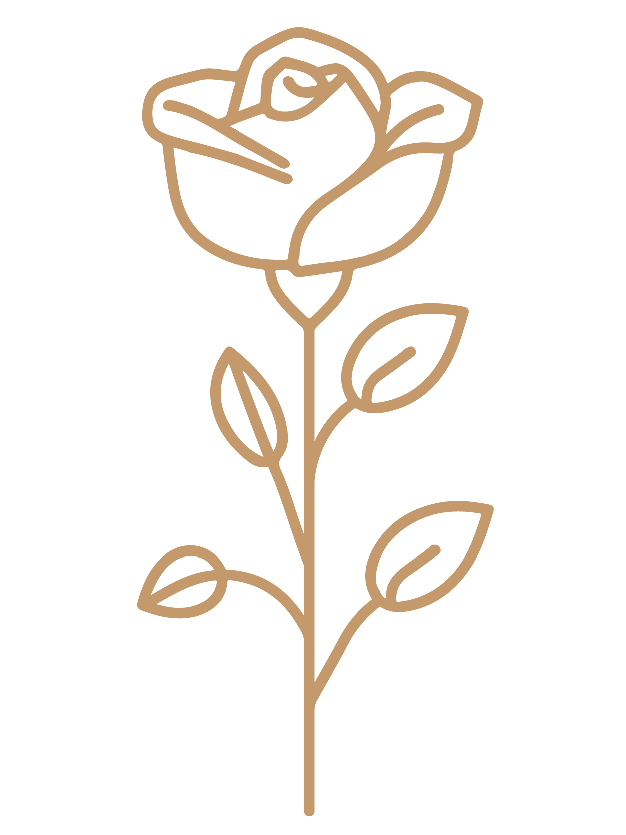 flor 27