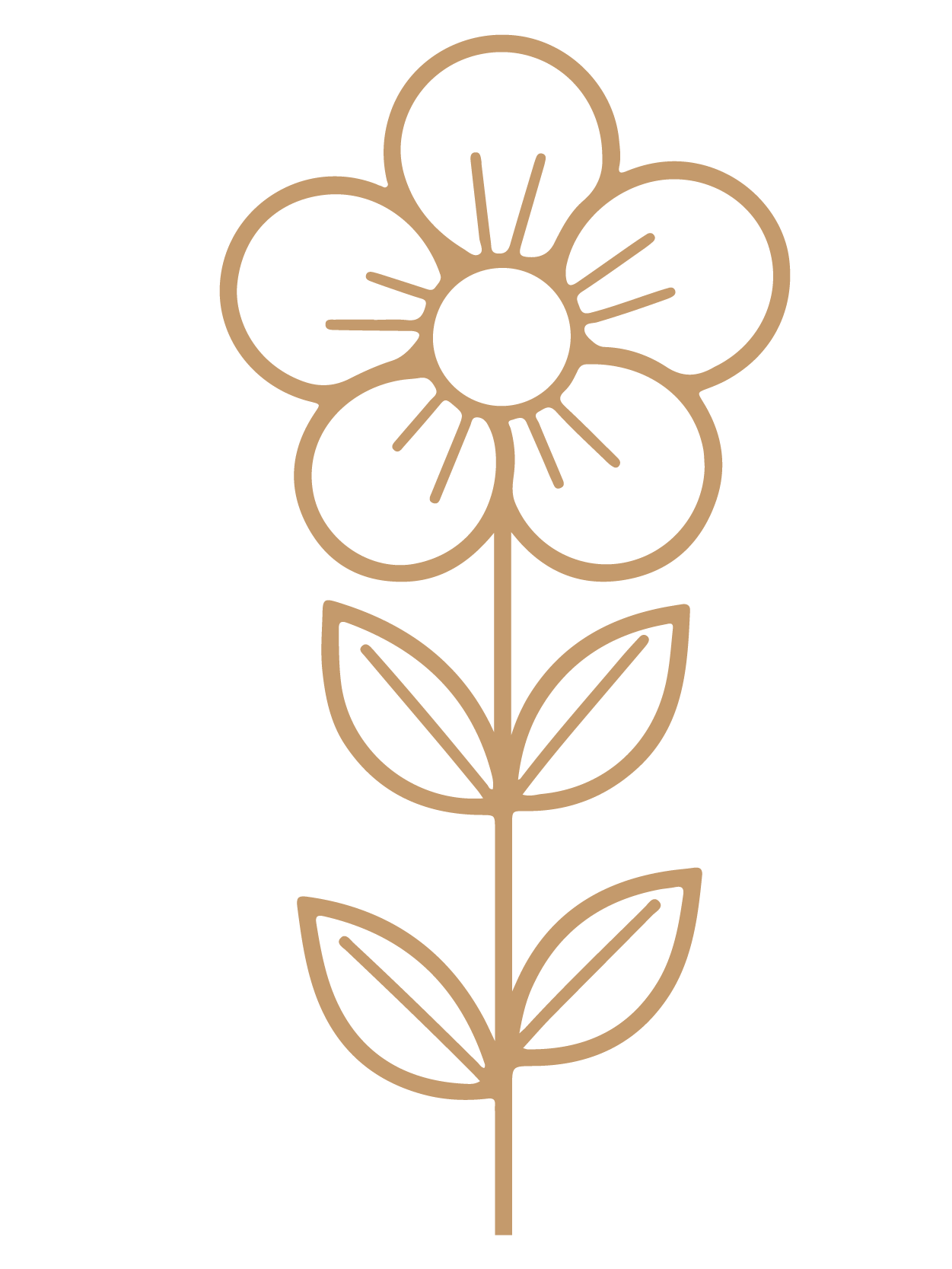 flor 29