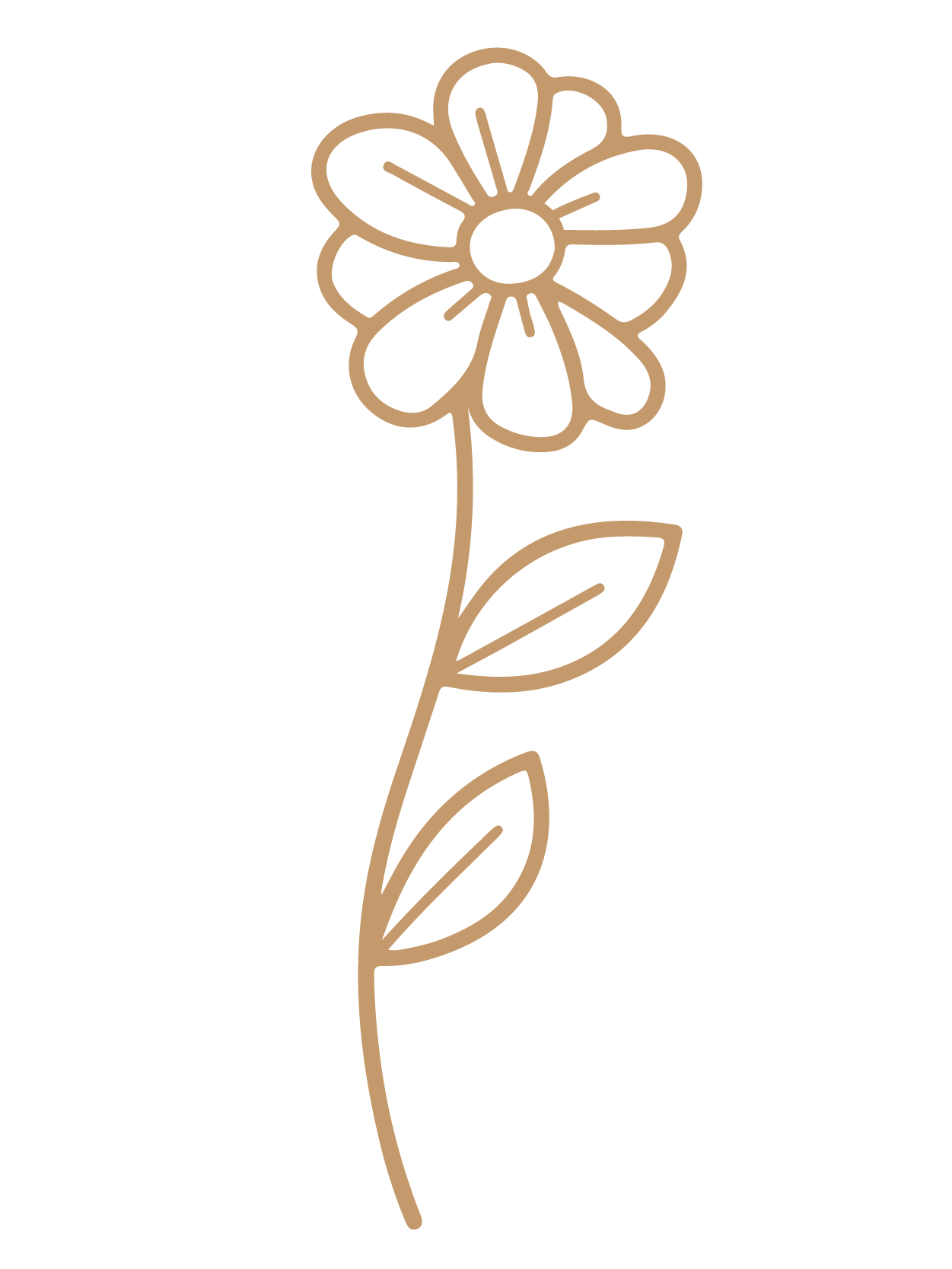 flor 30