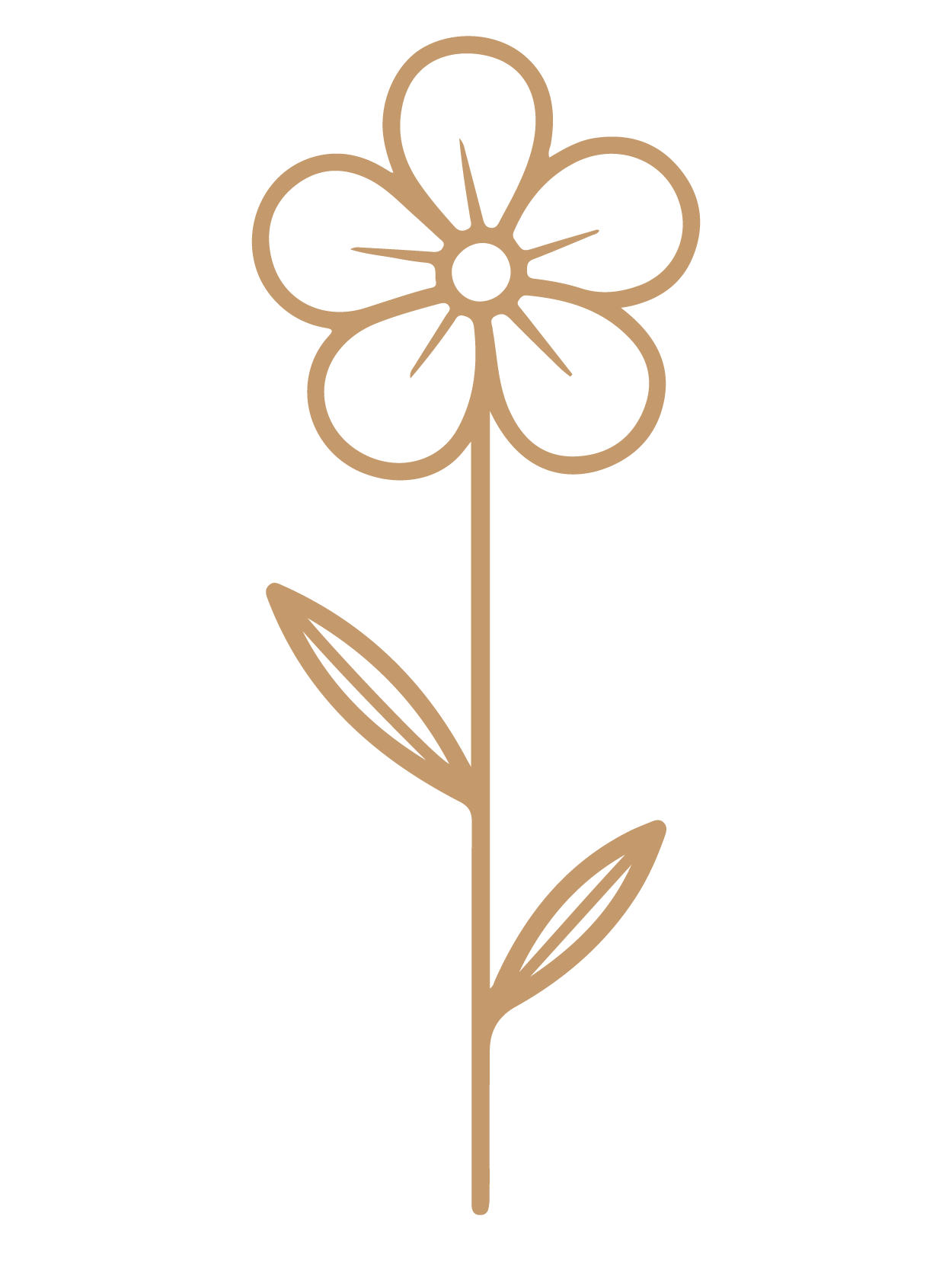 flor 31