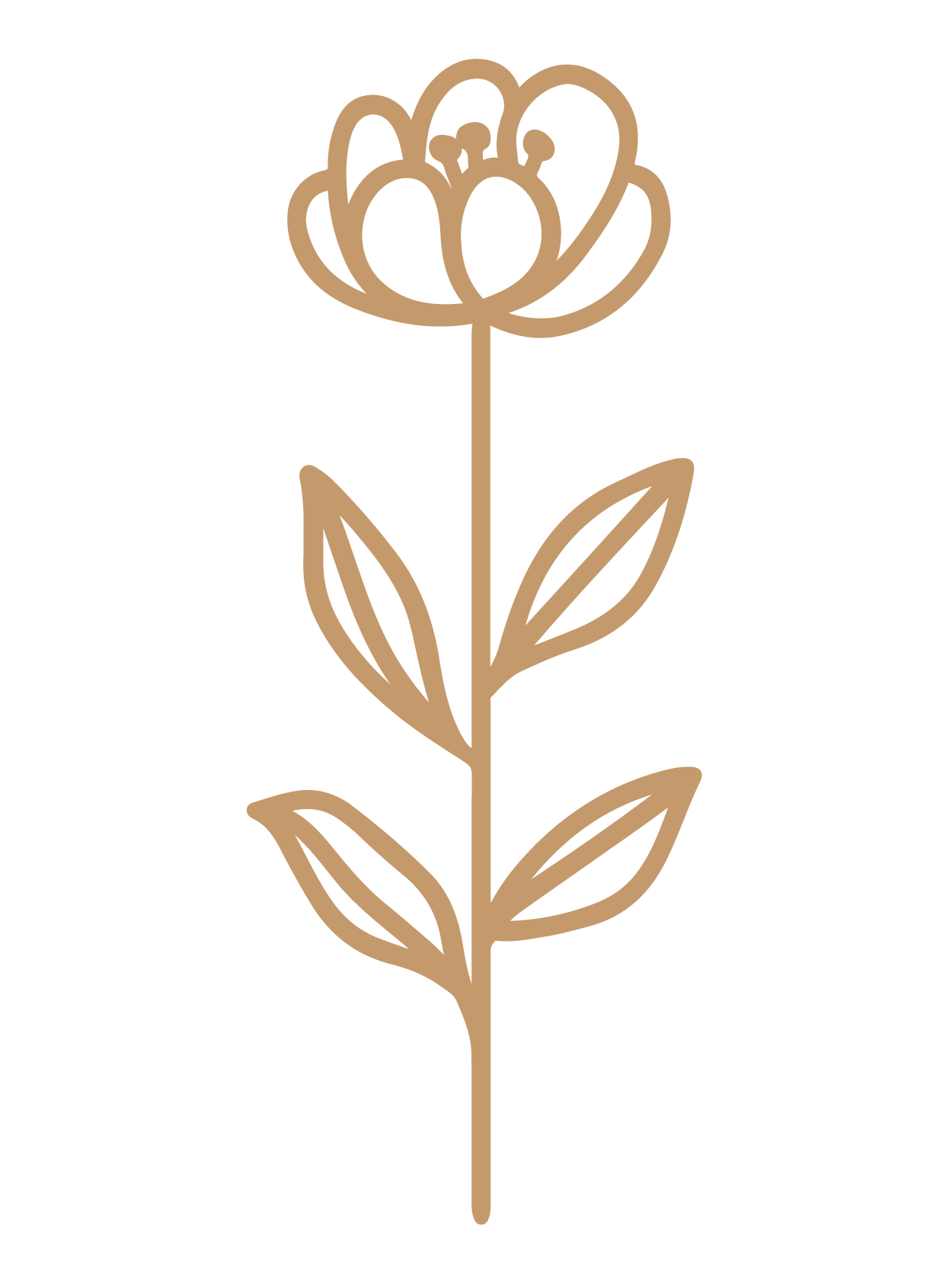 flor 33