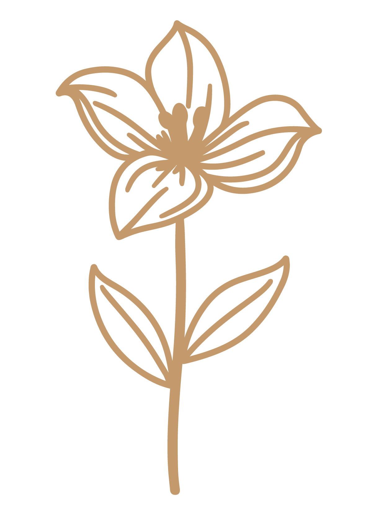 flor 34