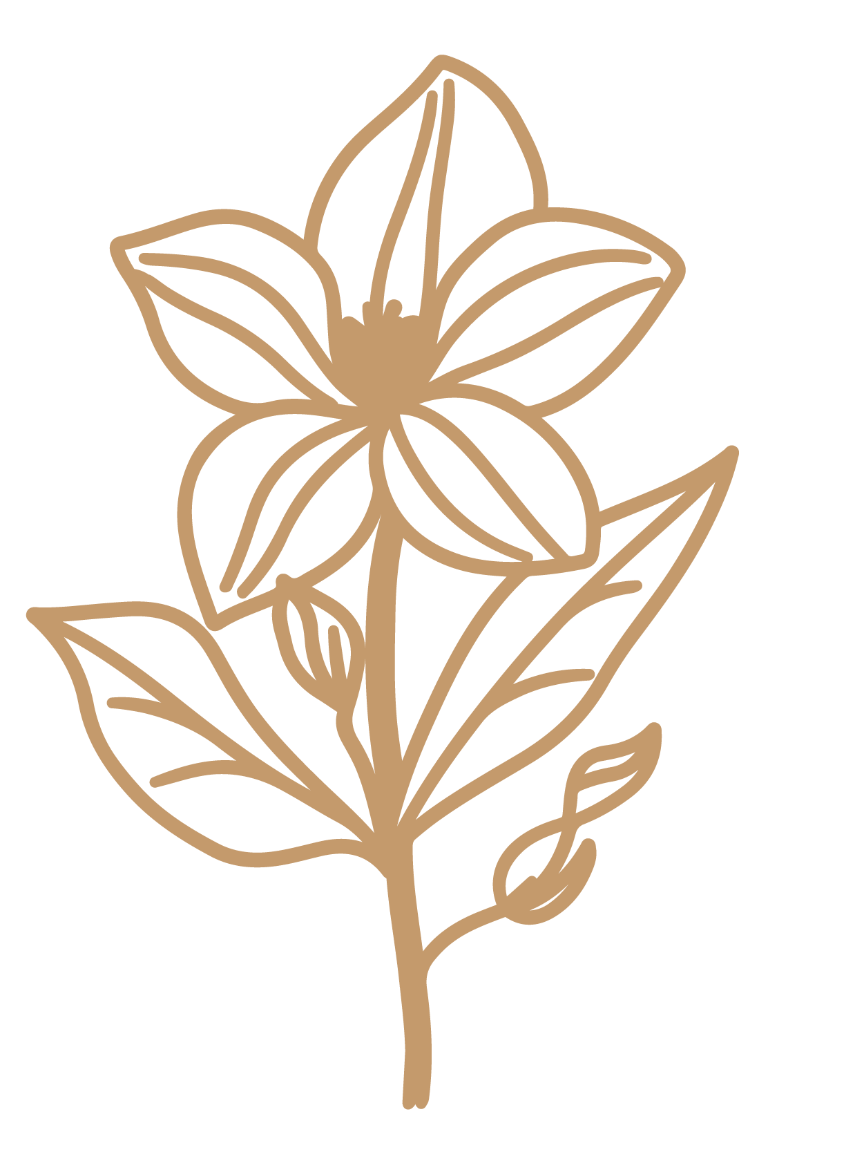 flor 35