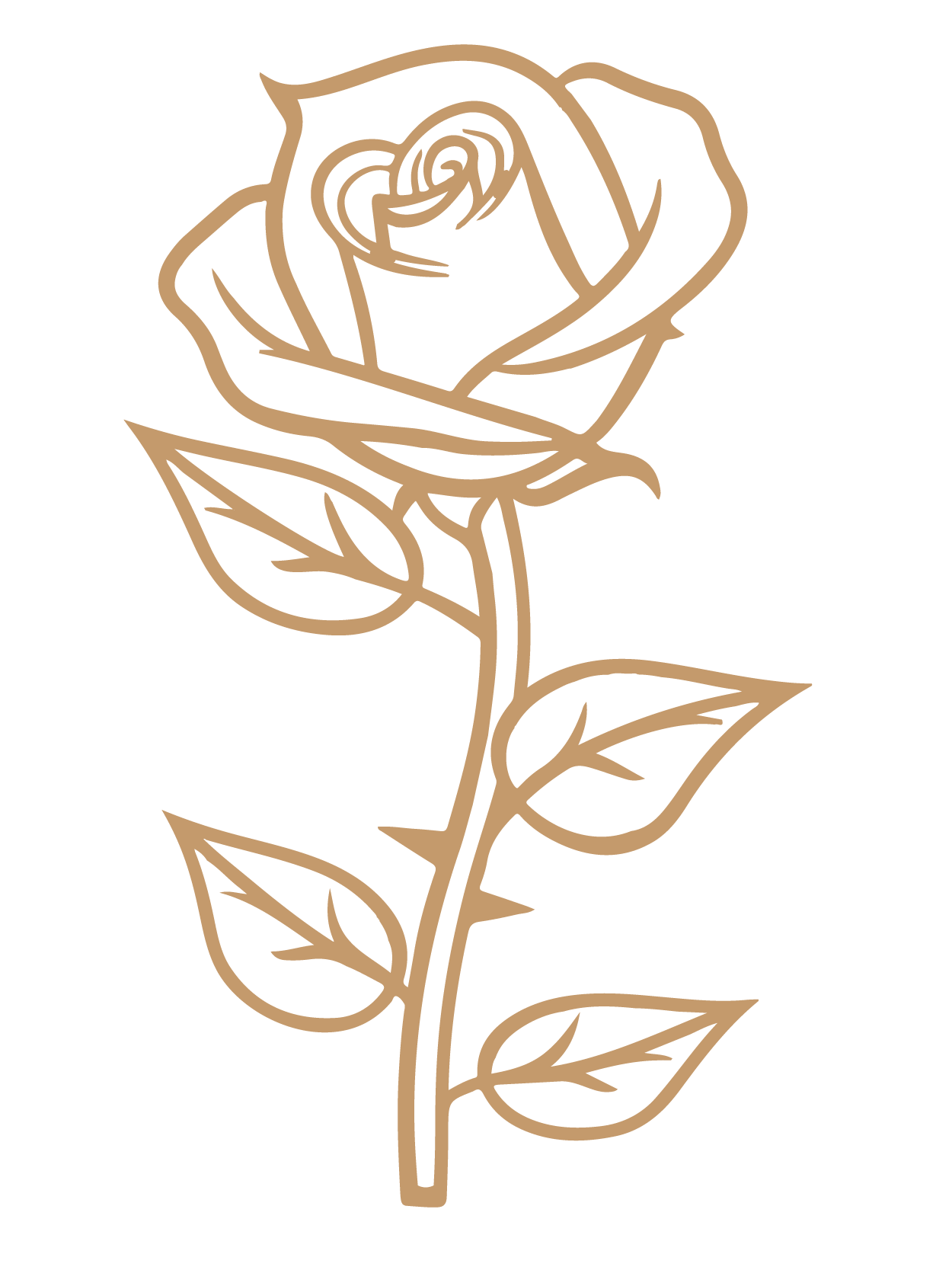 flor 36