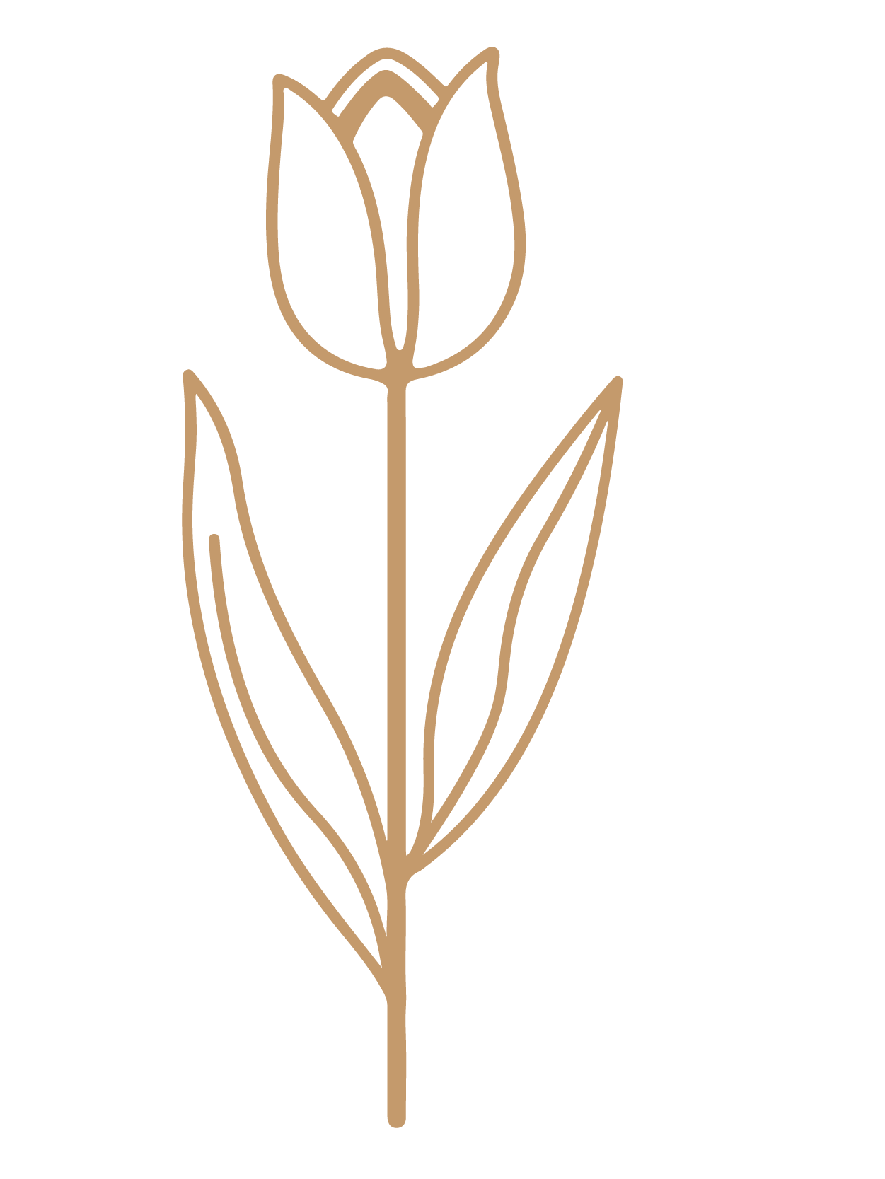 flor 37