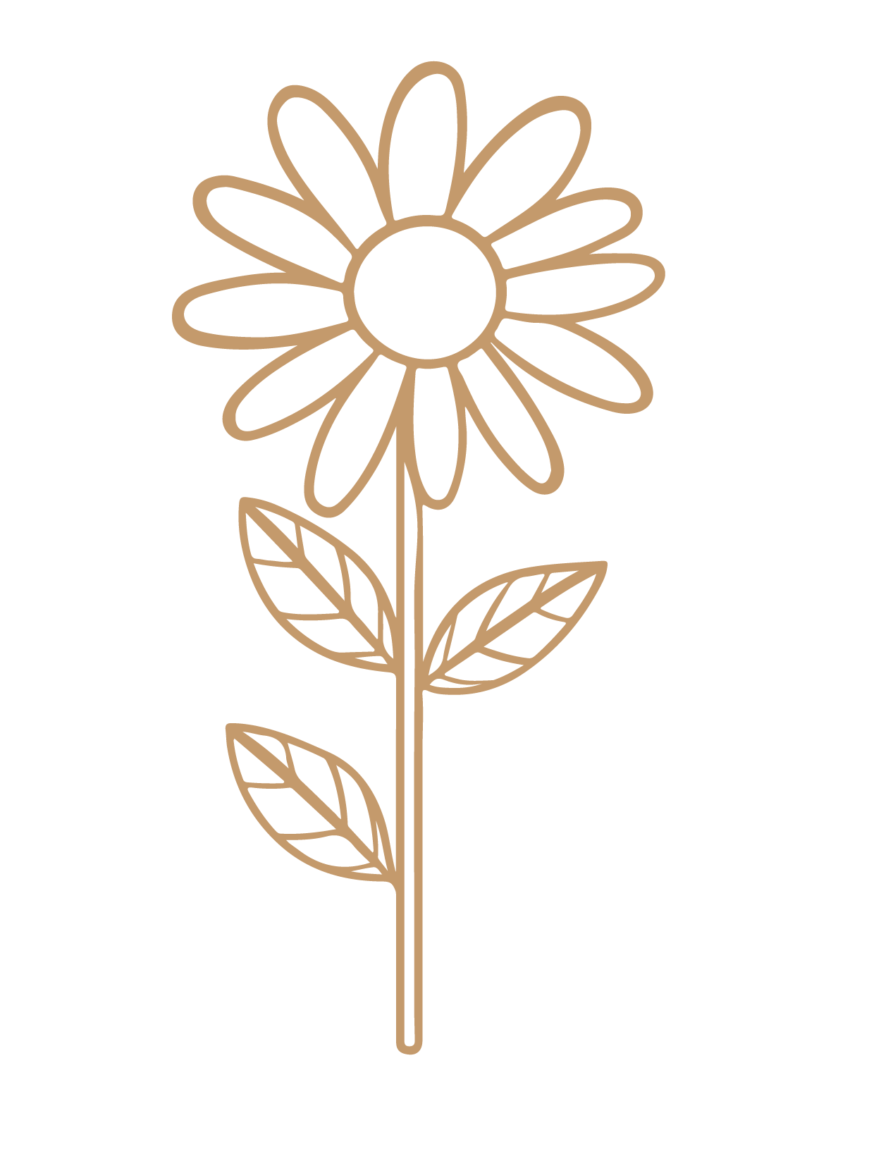 flor 4
