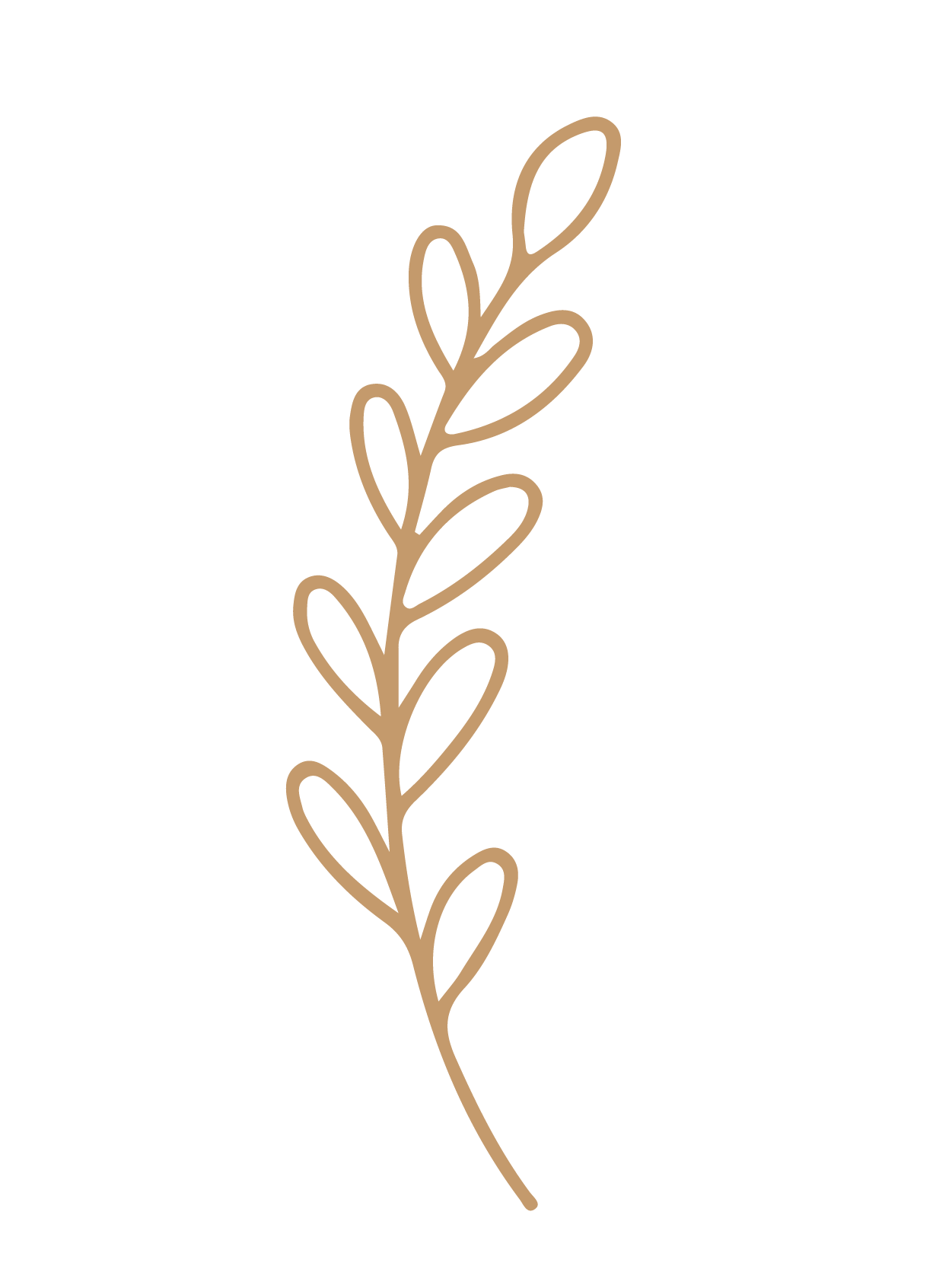 flor 42