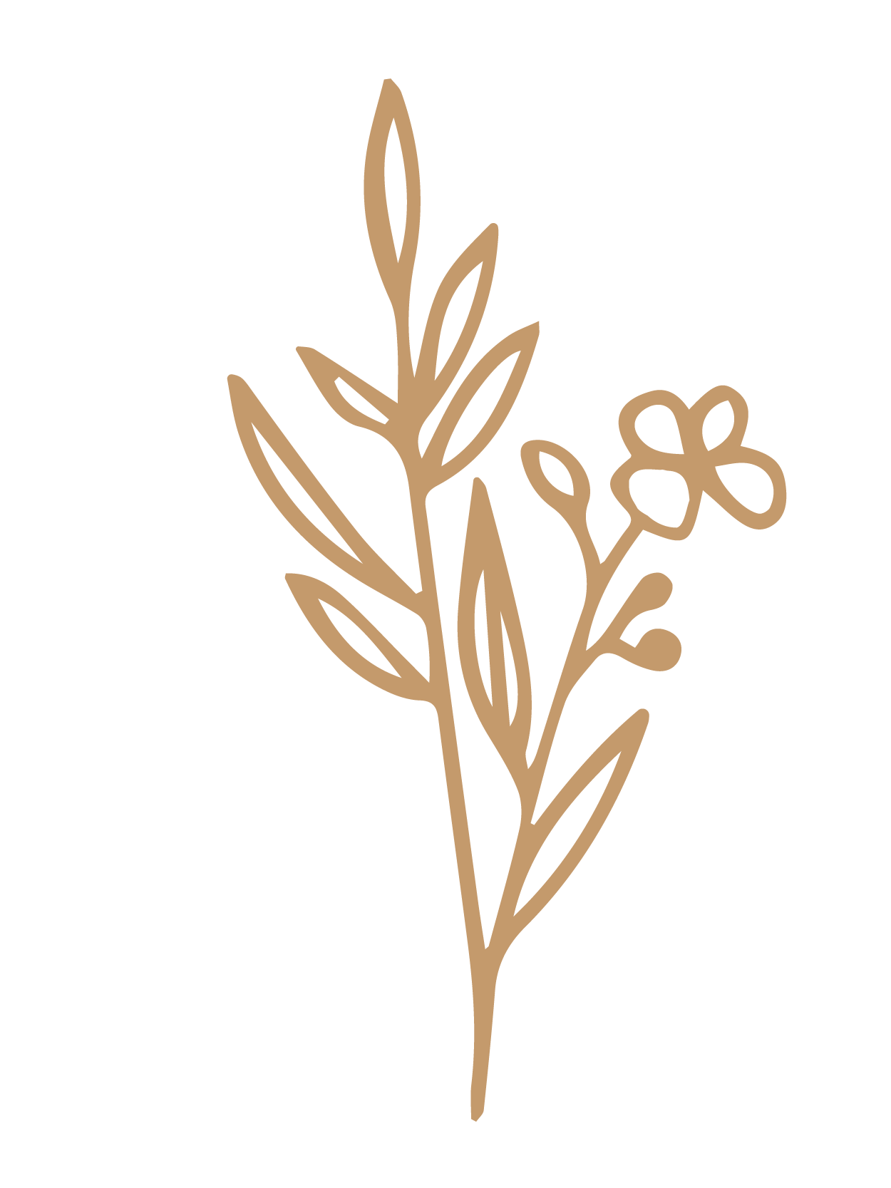 flor 44