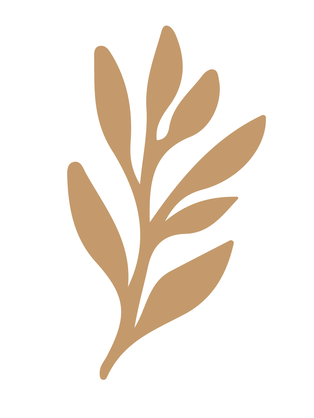 flor 45