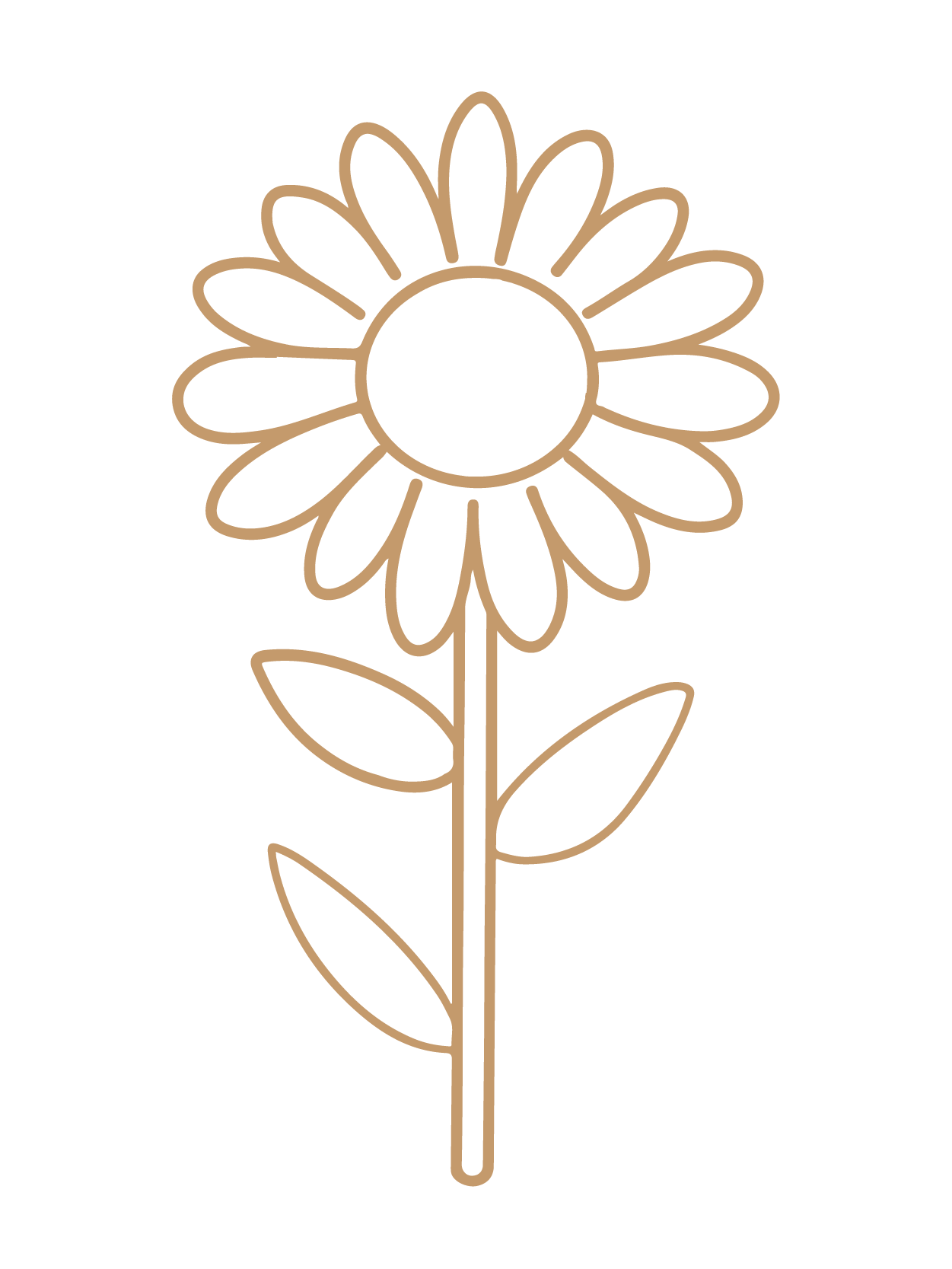 flor 5