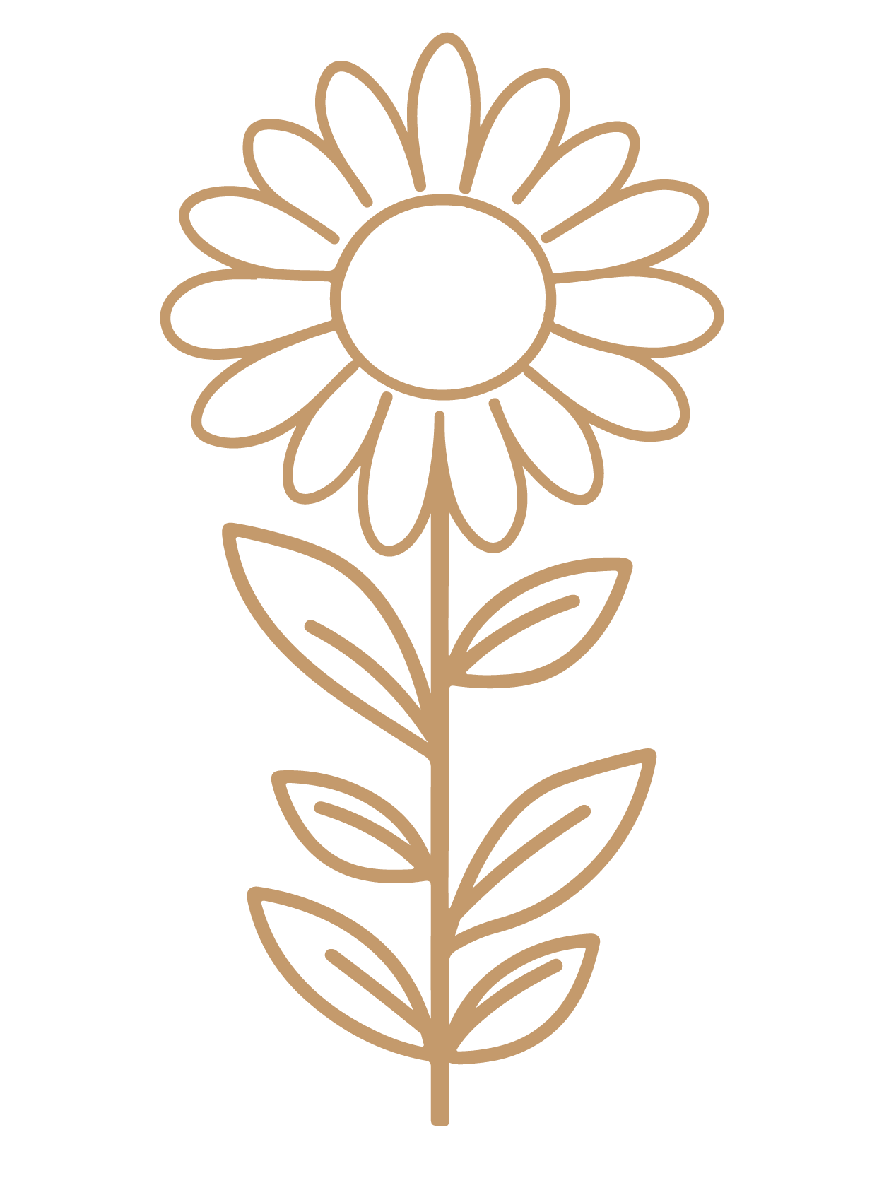 flor 6