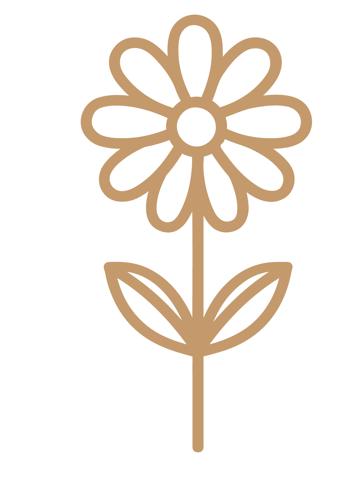 flor 7