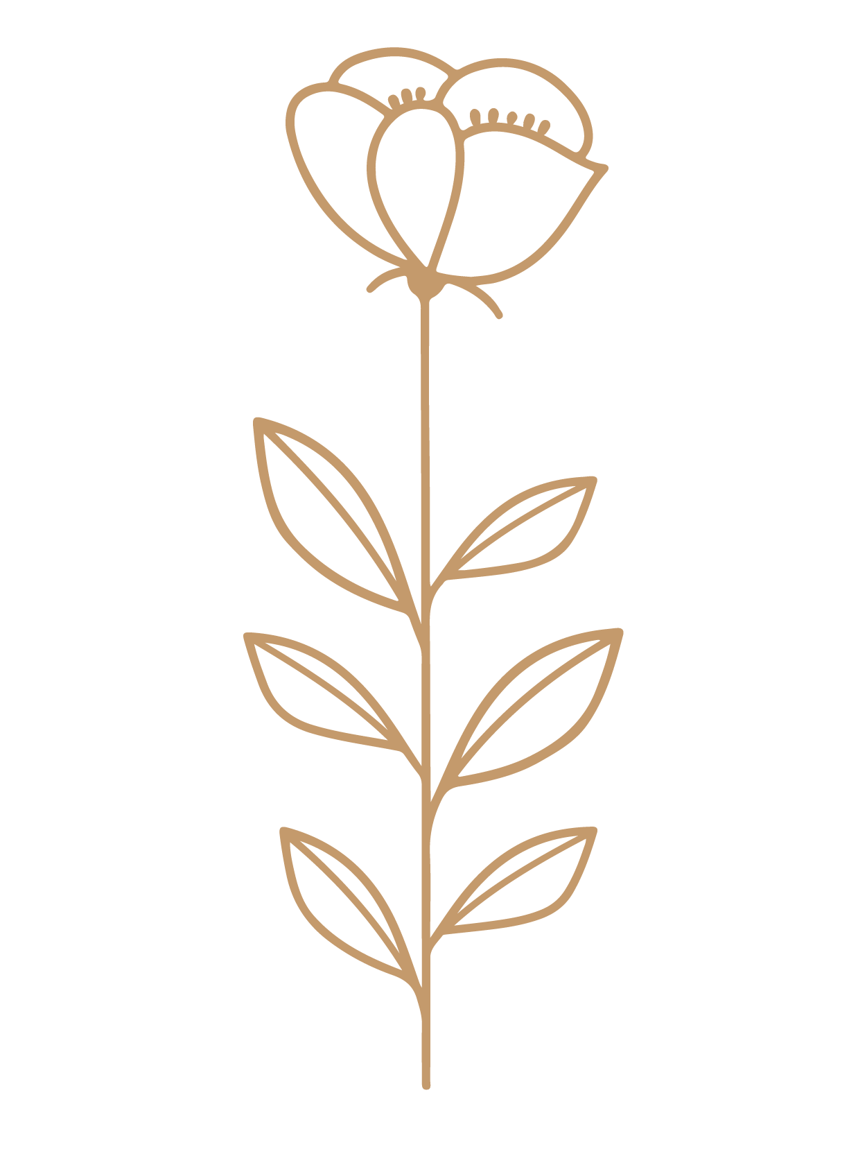 flor 8
