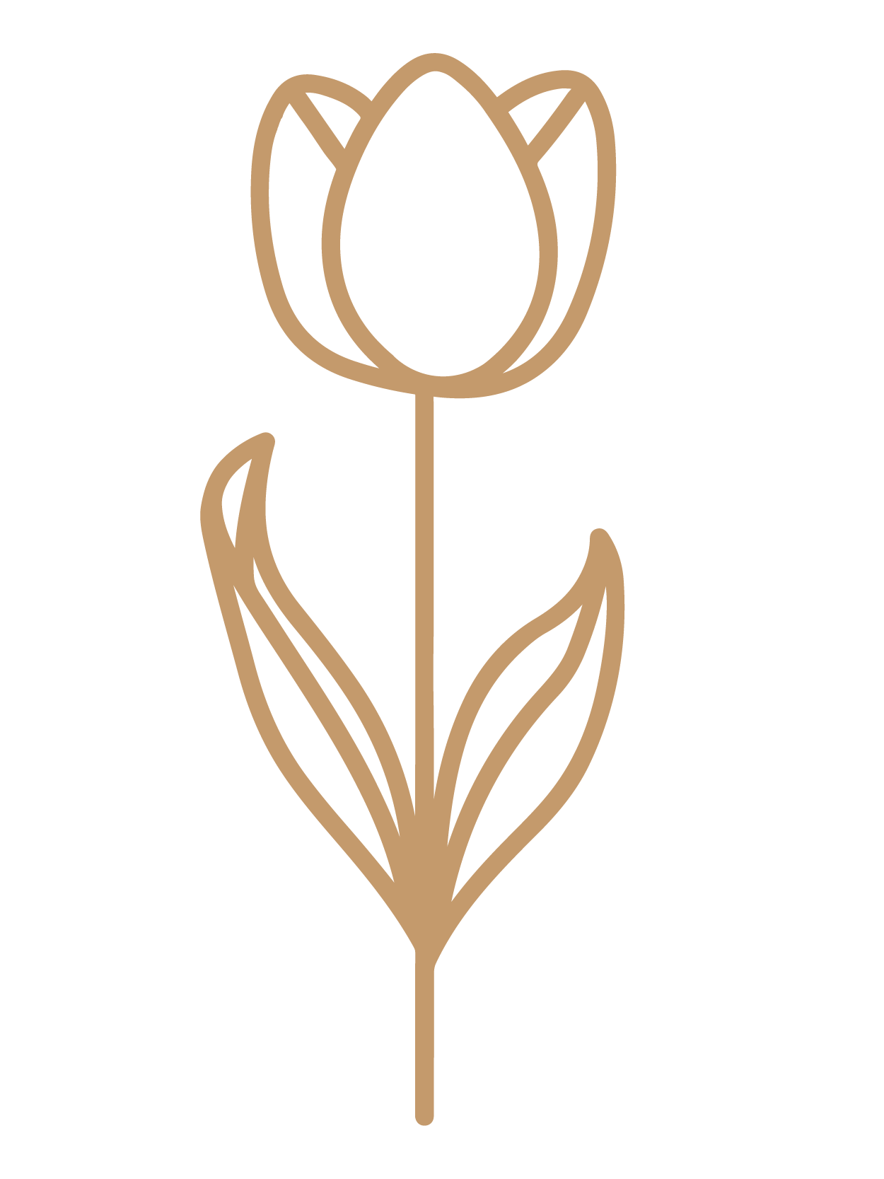 flor 9