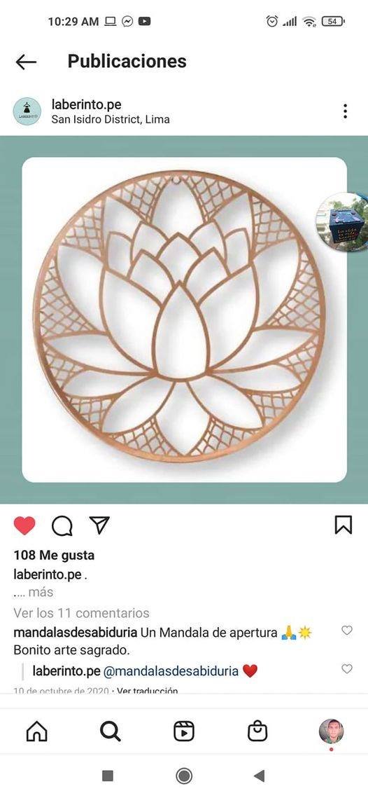 flor de liz