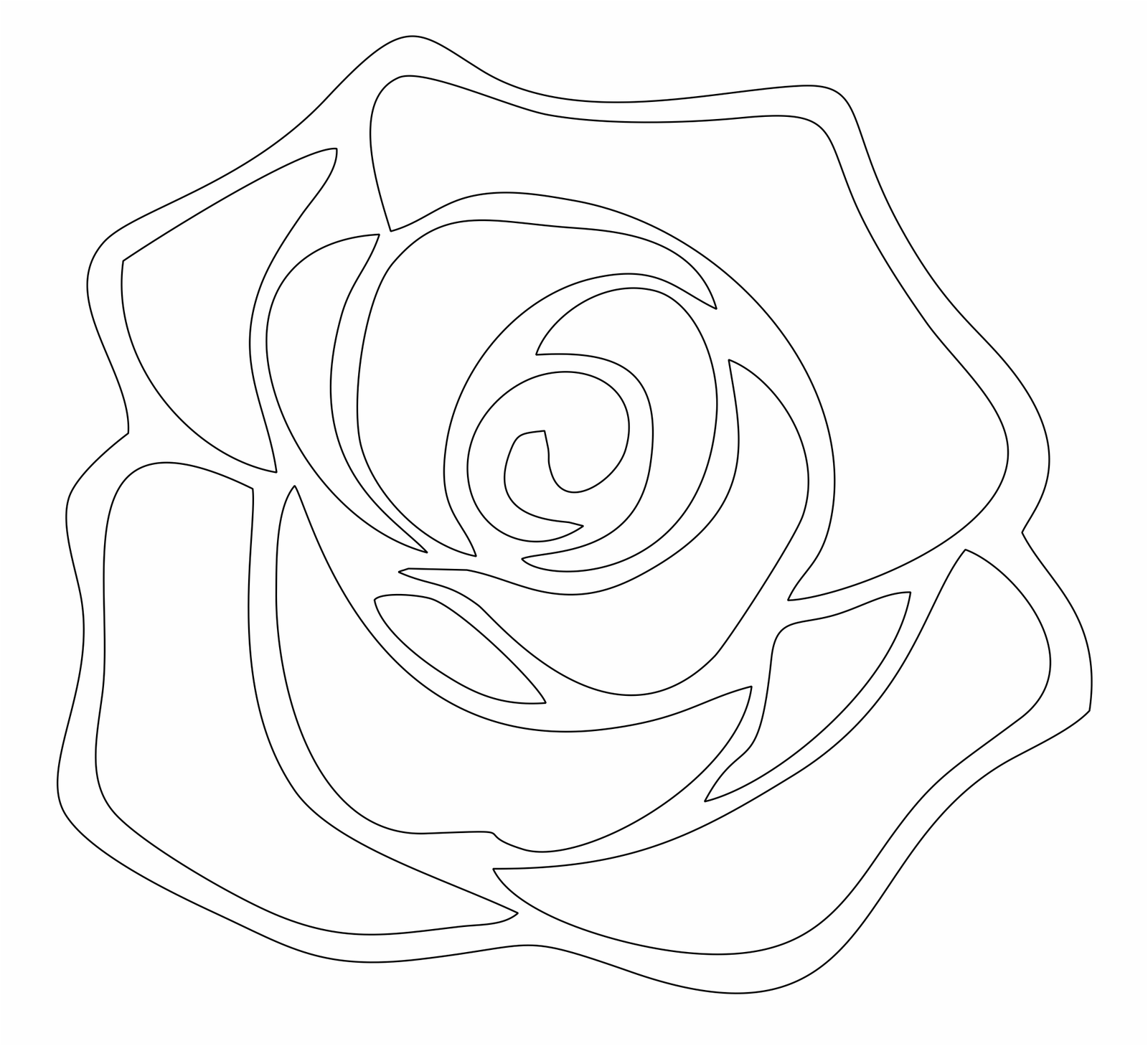 rosa bordeada 3