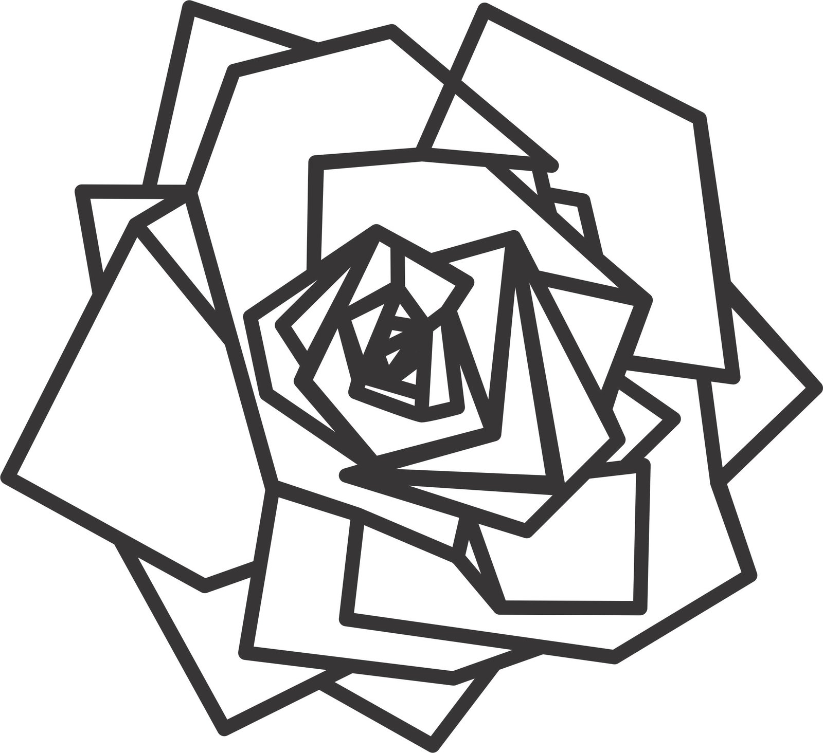rosa geométrica