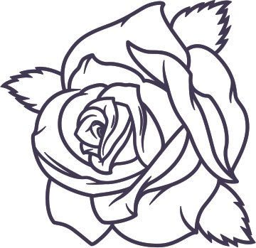 rosa