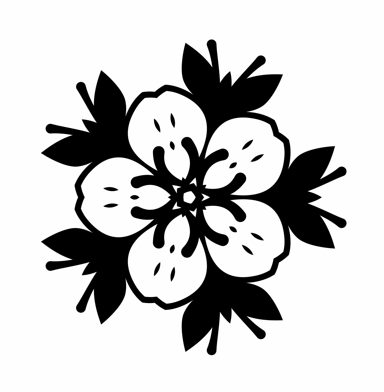 mandala 14