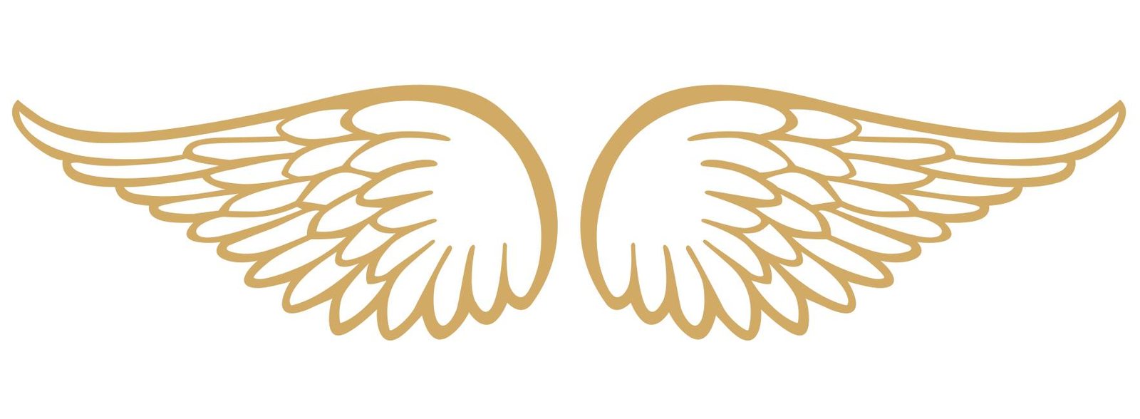 alas de ángel