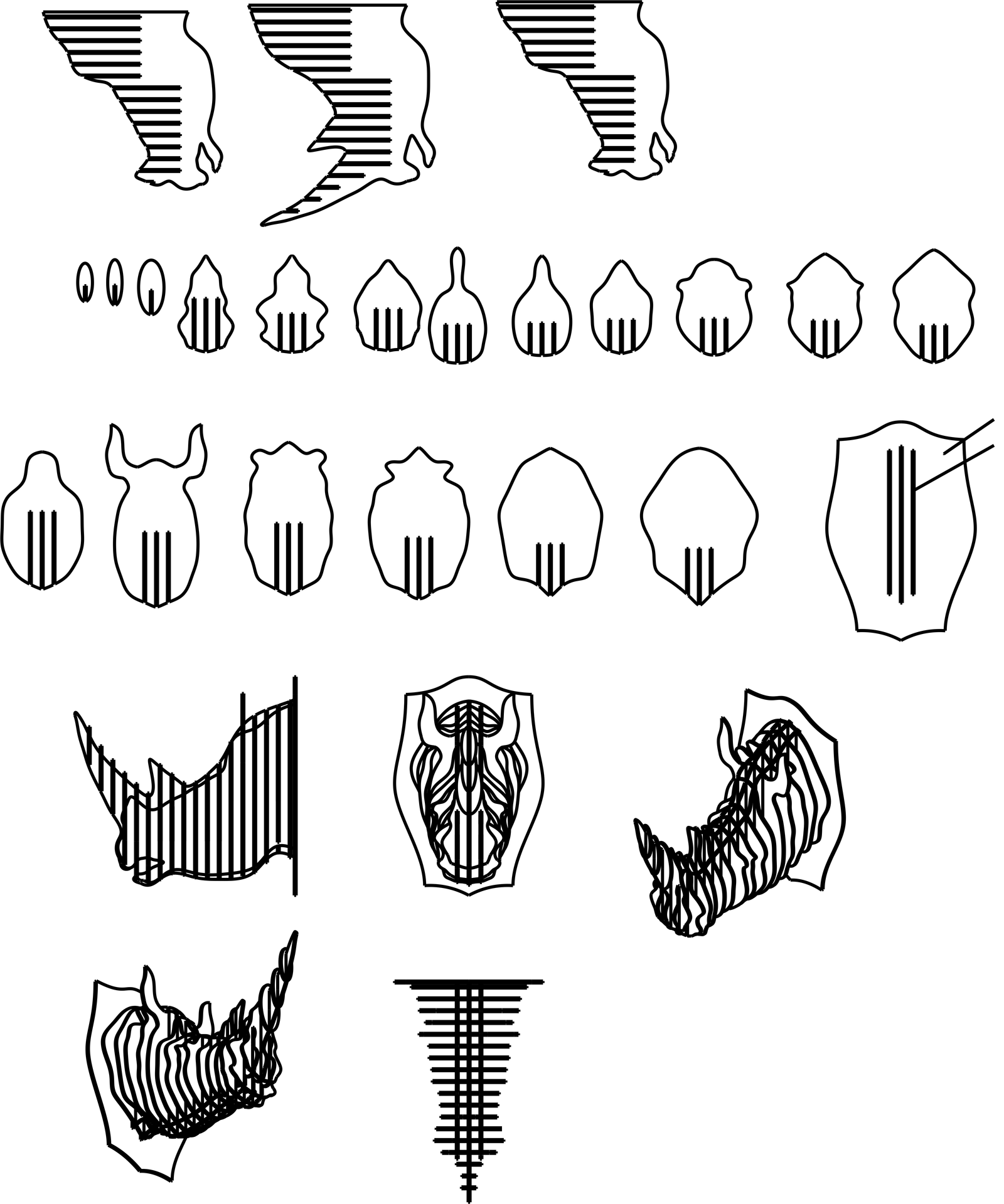 cabeza de rinoceronte