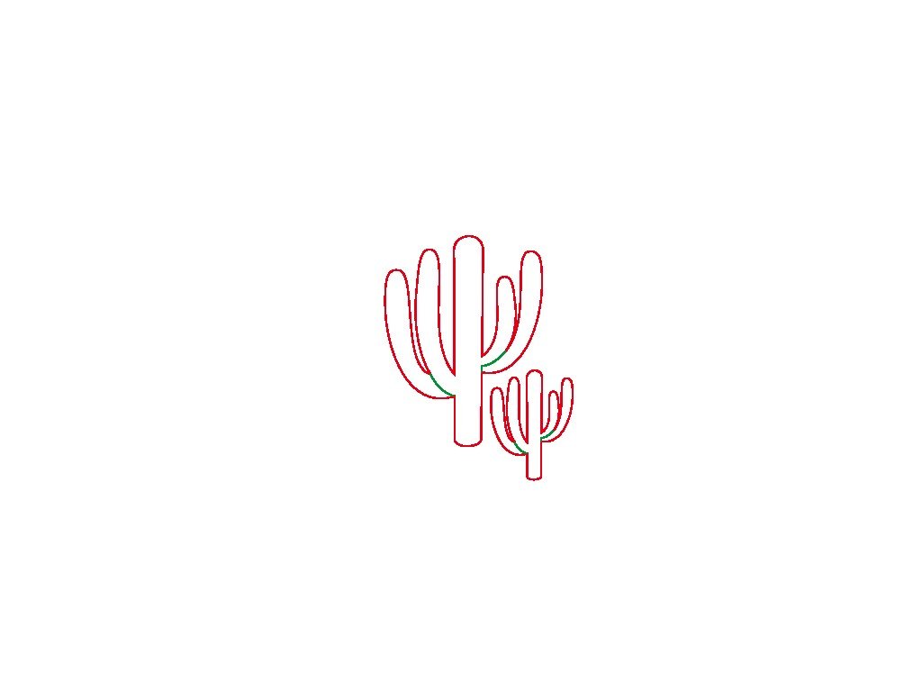cactus 2