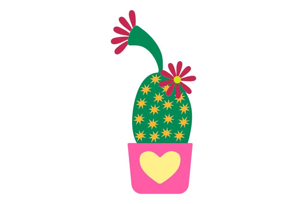 cactus 6