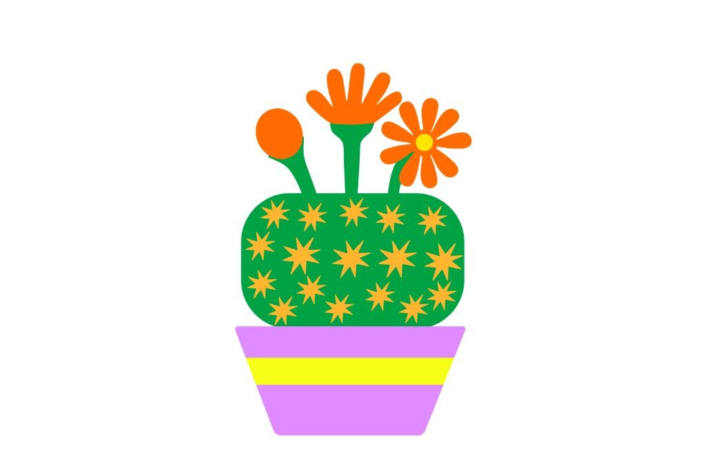 cactus 7