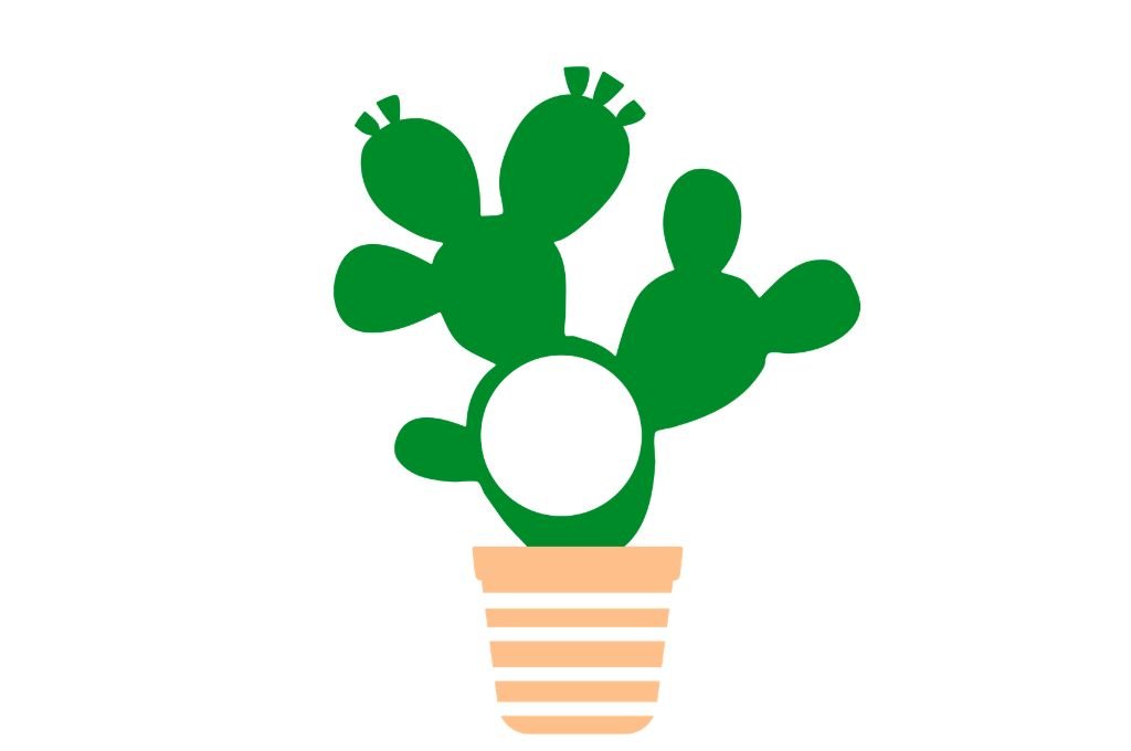 cactus 8