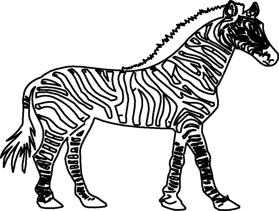 cebra